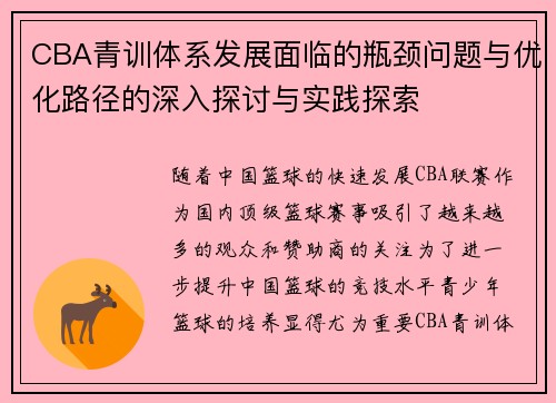 CBA青训体系发展面临的瓶颈问题与优化路径的深入探讨与实践探索